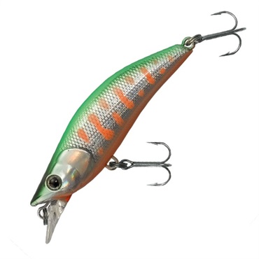 ムックリ　５２Ｆ